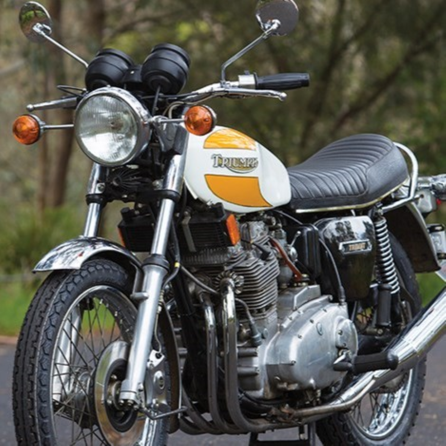 Triumph Sunflower Yellow Paint Product